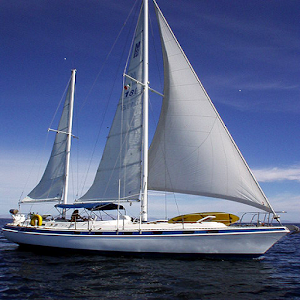 Sailing Basics Guide & Prep logo