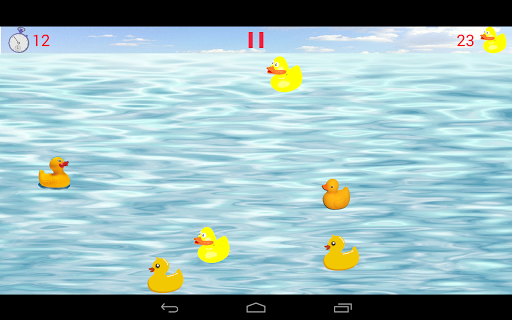 Rubber Ducky Hunt Baby Toddler