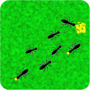 Ants Live Wallpaper.apk 1.3