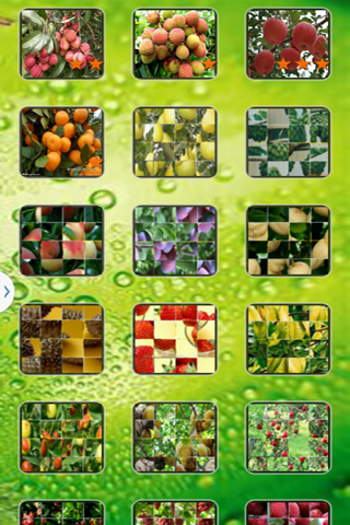 Fruit Puzzle