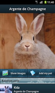 Free Rabbits APK