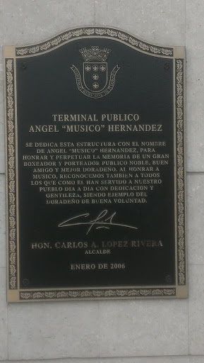 Terminal Publico 