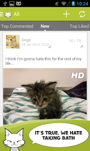 Cute Animals Photos Wallpapers Screenshots 12