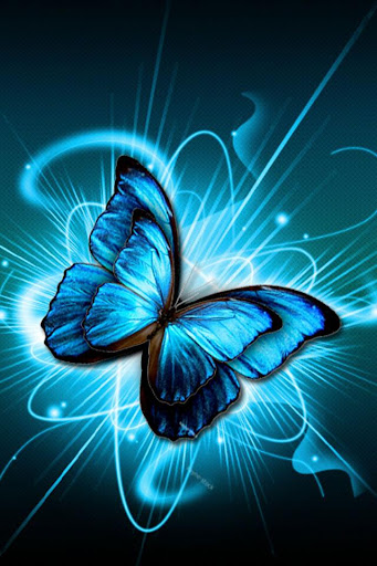 Butterfly Wallpaper