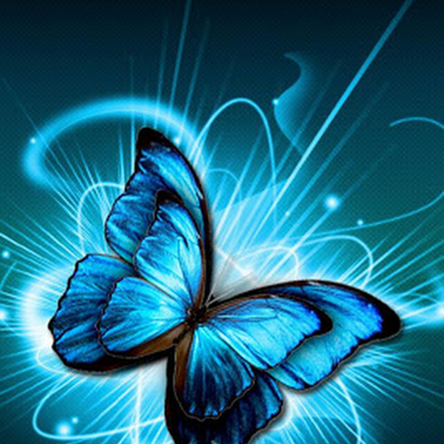Butterfly Wallpaper - Android Apps on Google Play