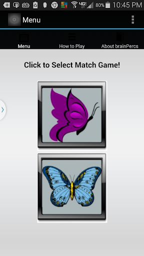 Matching Butterflies Game