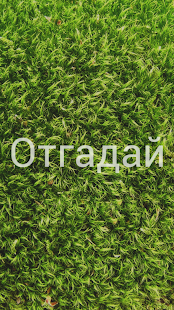 How to download Отгадай 1.0 mod apk for pc