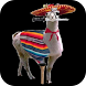 Photo Llama