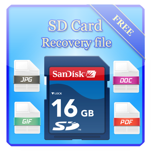SD Card Recovery File
