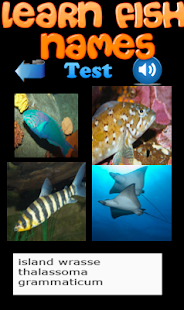 Learn Fish Names Screenshots 14
