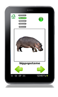 Free Animals in Five Languages APK for Android