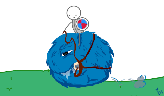 1. What is the Hero Riding?