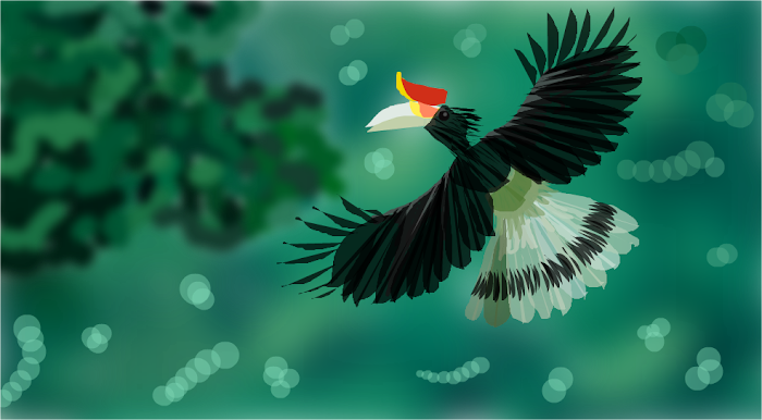 Rhinoceros Hornbill