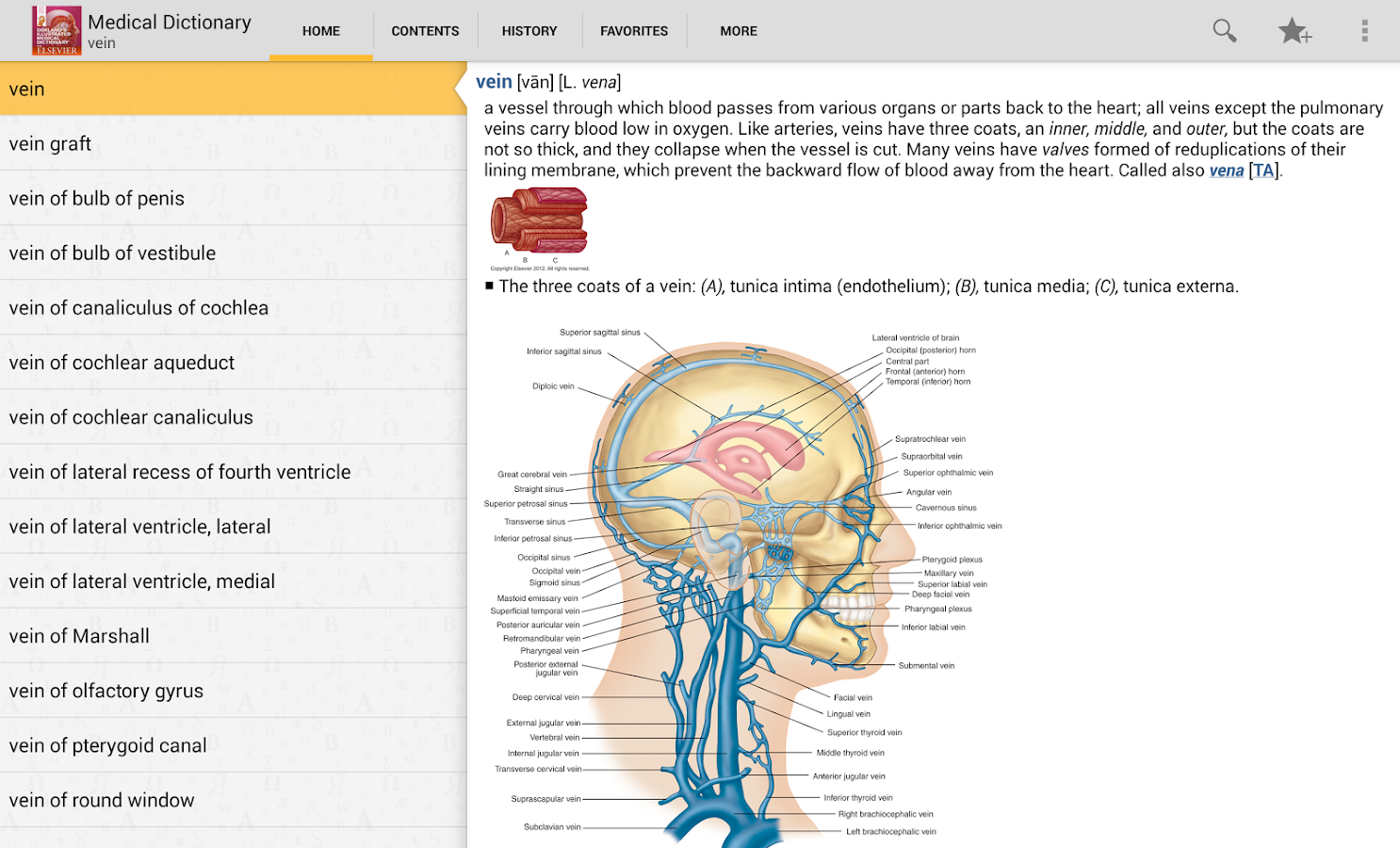 Dorland Illustrated medical dictionary apk Cracked download