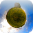 PanoPlanet (lite) logo