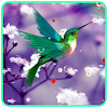 Humming Bird Live Wallpaper