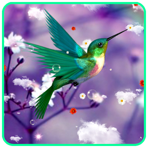 Humming Bird Live Wallpaper.apk 1.0