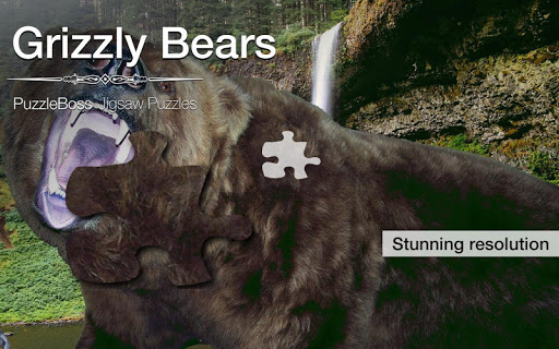 Grizzly Bear Jigsaw Puzzles