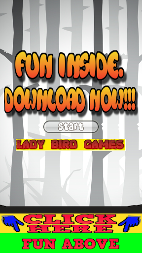 Lady Bird Games for Kids