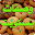 وصفات بسكويت وكوكيز Download on Windows