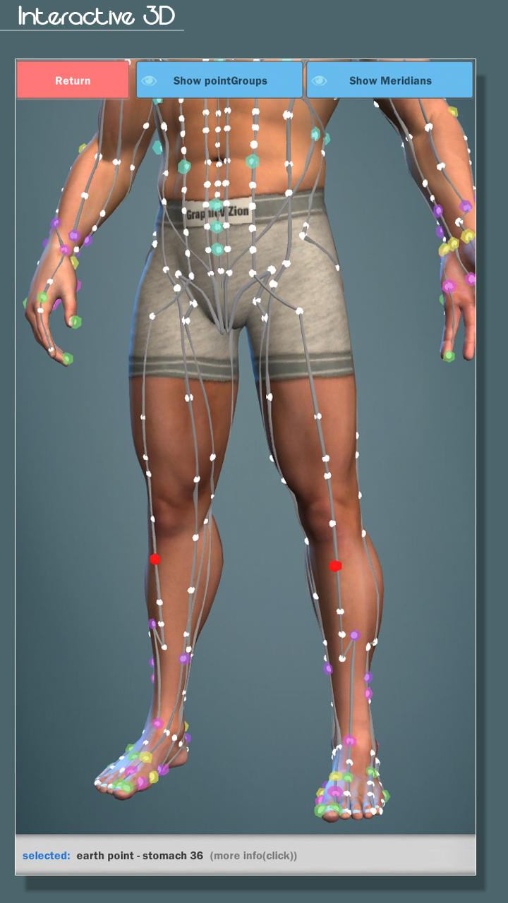 Easy Acupuncture 3D-MED Screen 2