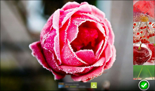 How to install Frozen Wallpapers 1.0 unlimited apk for bluestacks