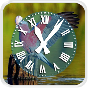 Birds Clock Live Wallpaper.apk 1.0