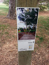 #4 Tee Box: Edora Park Disc Golf Course