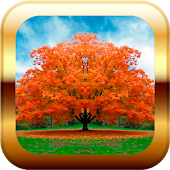 Puzzle for Kids - Autumn