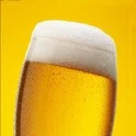 BeerWhere icon