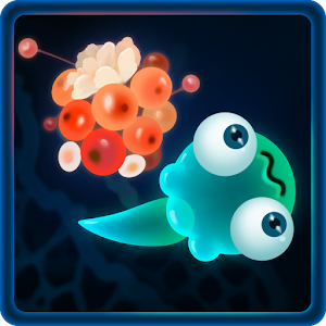 Maze of Mystery.apk