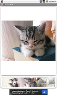 How to install Cutest Pets 1.0 apk for bluestacks