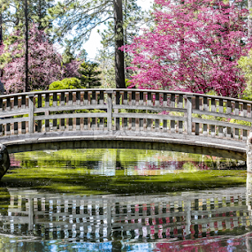 Manato Park In Spokane Washington by Leah N - City,  Street & Park City Parks