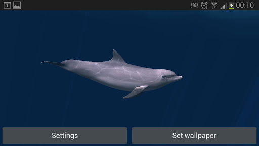 【免費生活App】海豚浸泡3D-APP點子