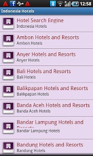 Indonesia Hotel Network Screenshots 7