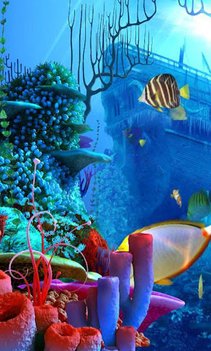 Coral Reef live wallpaper