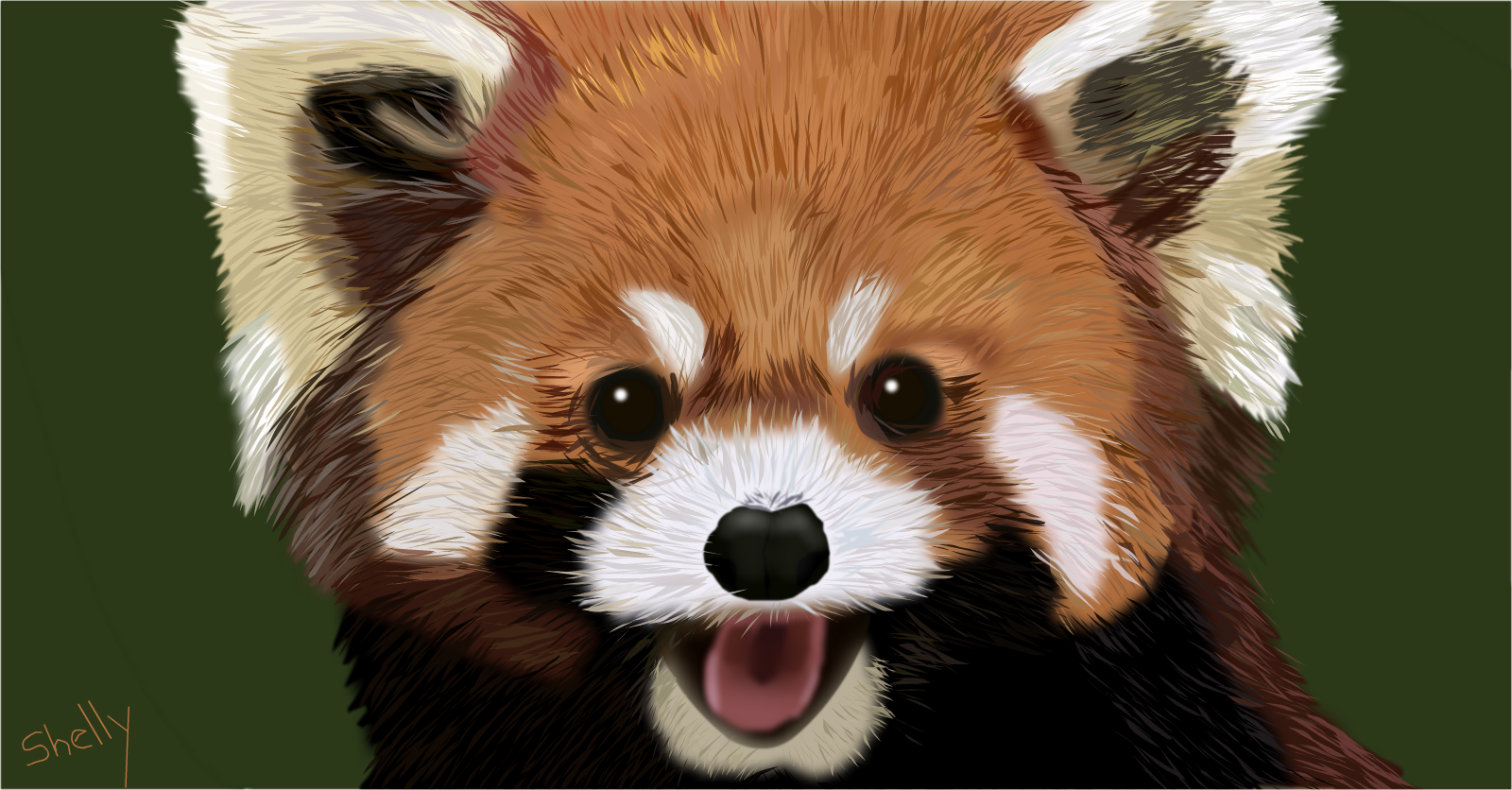 Red Panda   drawings   SketchPort