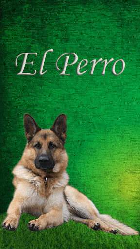 El Perro