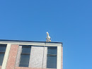Seagull on the Roof