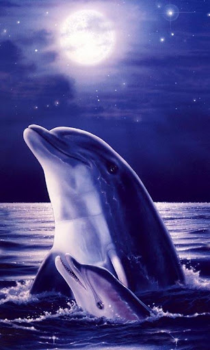 Dolphins Live Wallpaper