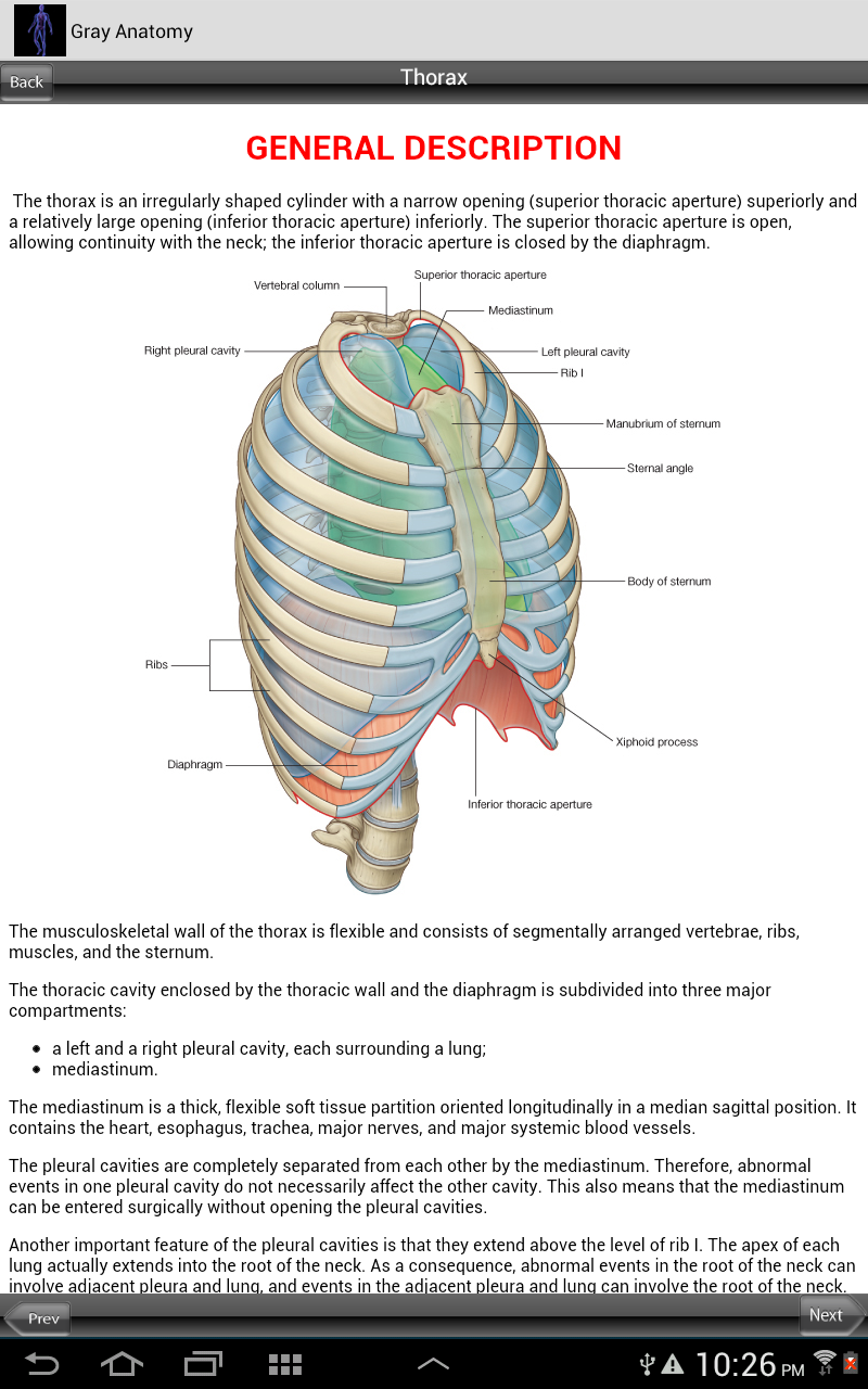 Grays Human Anatomy Screen 2