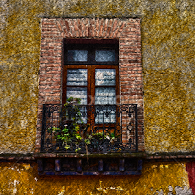 Balcón by Carlos Casillas - Buildings & Architecture Decaying & Abandoned