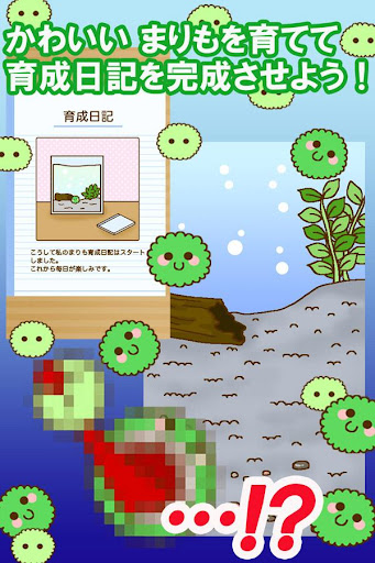 【免費模擬App】かわいい育成ゲーム　『まりまりも育成日記』-APP點子