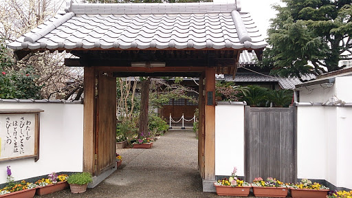 博照寺 Hakusyouji Temple