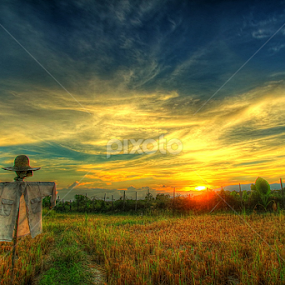 by Maidiabu Maimin - Landscapes Prairies, Meadows & Fields