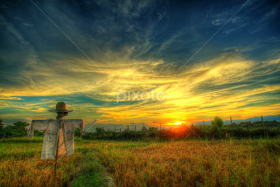 by Maidiabu Maimin - Landscapes Prairies, Meadows & Fields