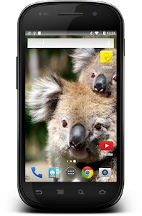How to install Cute Animal Babies Wallpaper 1.07 apk for android