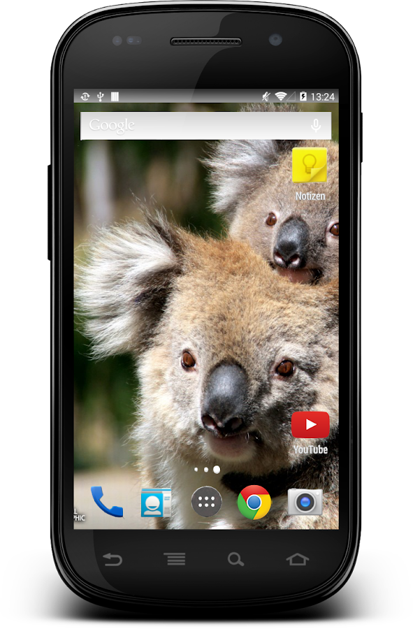  Cute  Animal  Babies Wallpaper  Android Apps  on Google Play