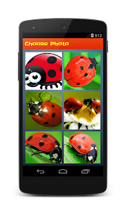 How to mod Ladybug Puzzle patch 1.1 apk for pc