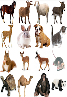 How to install Natural Sounds of the Animals 1.2 unlimited apk for pc
